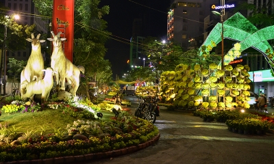 Đường Hoa Nguyễn Huệ - TP HCM 2015