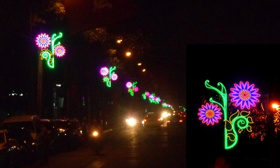 Hoa treo cột điện TP Vũng Tàu 2014